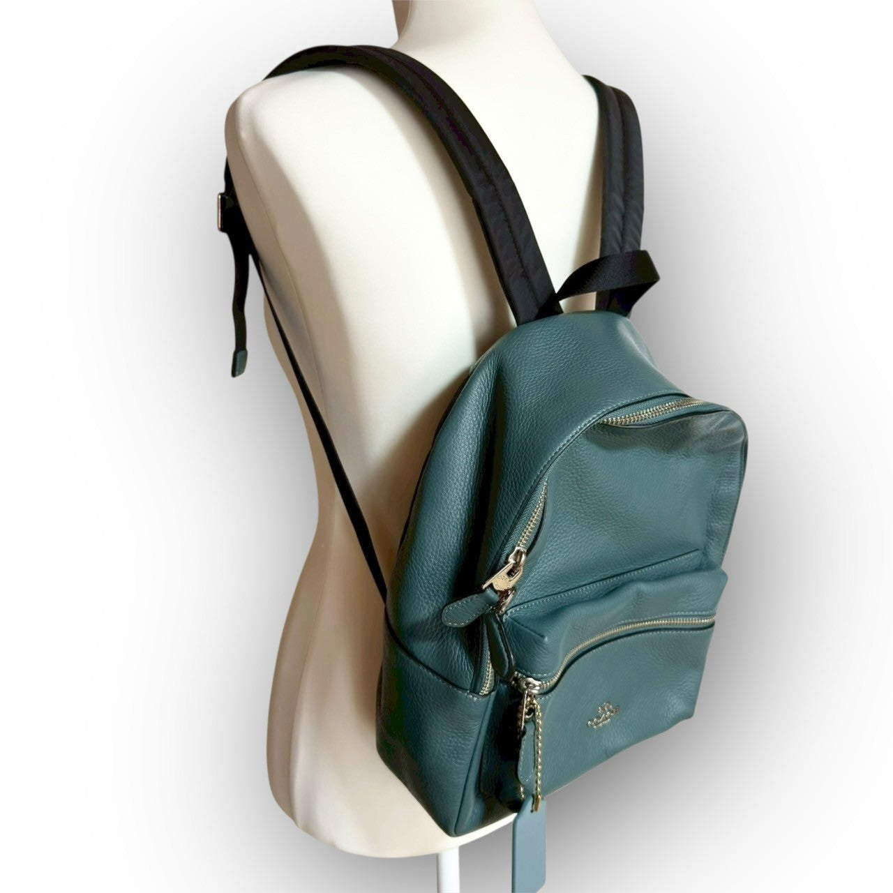 71 COACH コーチ リュック グリーン ×ブラック M1980 30550 カード付き